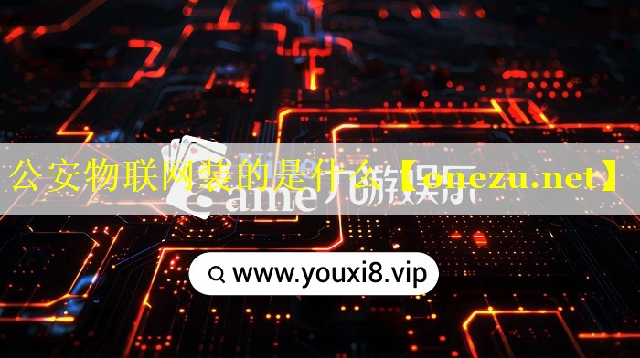 公安物联网装的是什么
