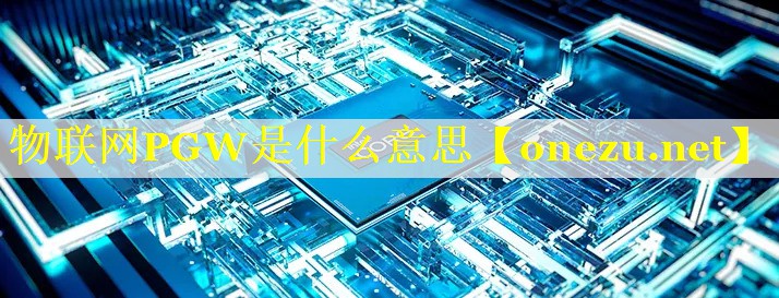 物联网PGW是什么意思