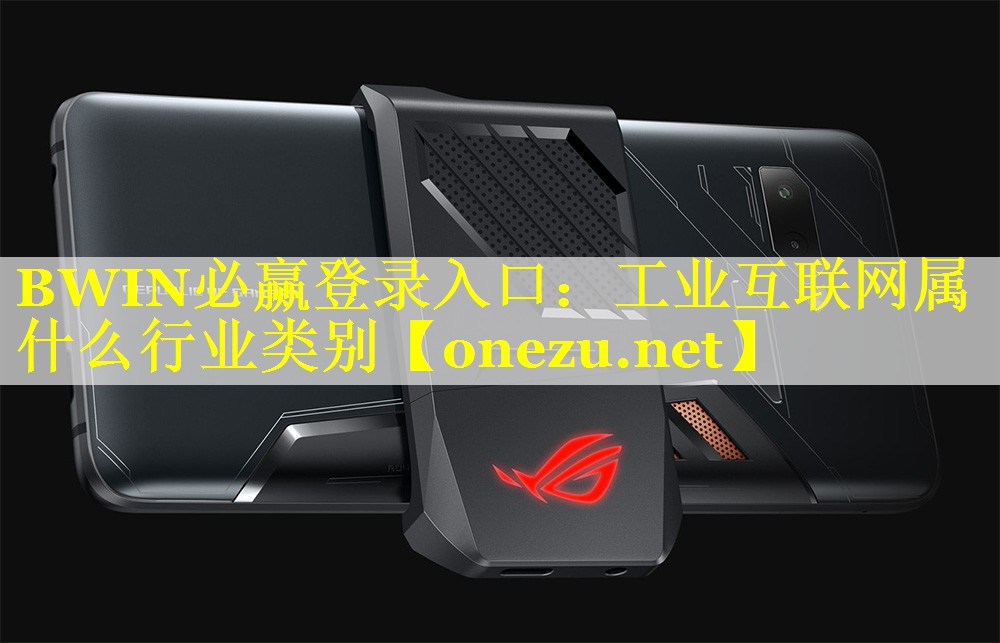 BWIN必赢登录入口：工业互联网属什么行业类别