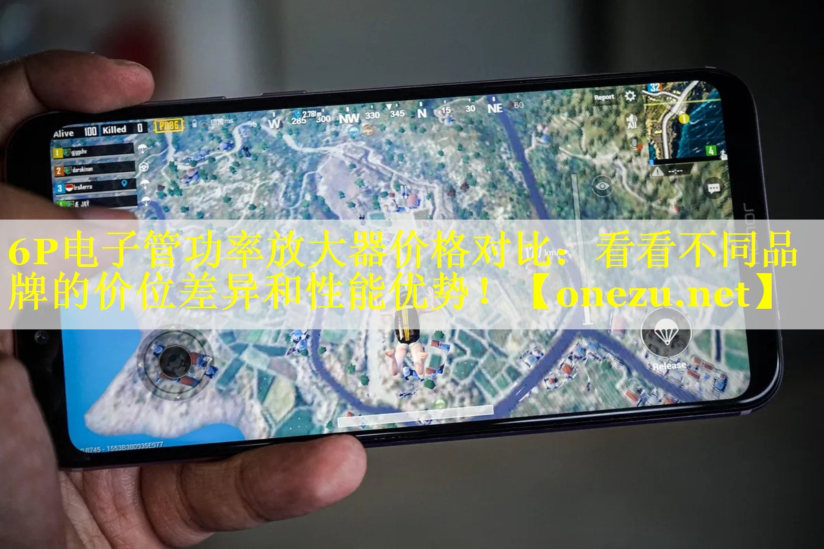 6P电子管功率放大器价格对比:看看不同品牌的价位差异和性能优势! 6P电子管功率放大器价格对比:看看不同品牌的价位差异和性能优势!